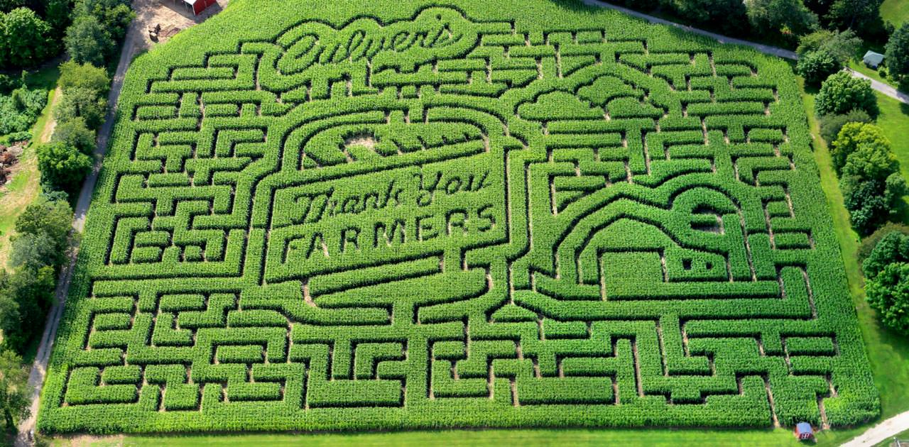 Kalamazoo Corn Maze Says Thanks to Farmers