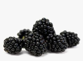 Blackberries