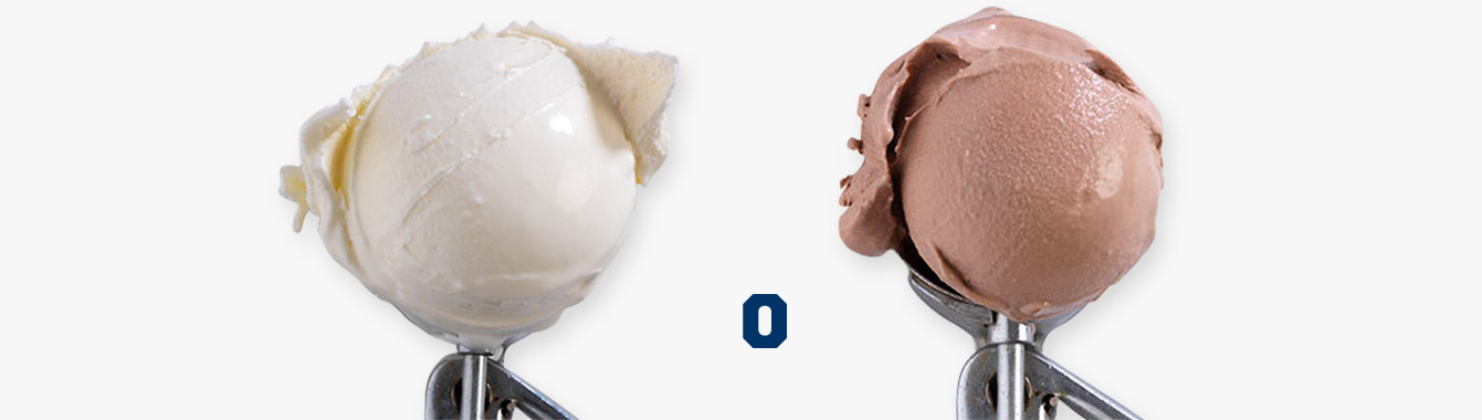 A scoop of vanilla custard and a scoop of chocolate custard.