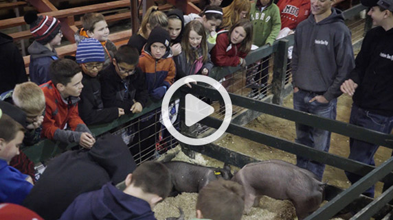 Take a look at 2017's Lee County Ag Expo